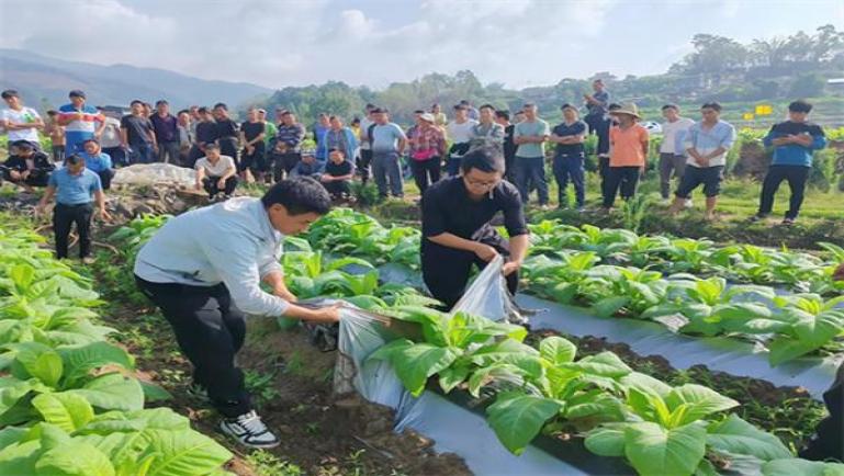破天荒！网上烟酒超市“心满意足”